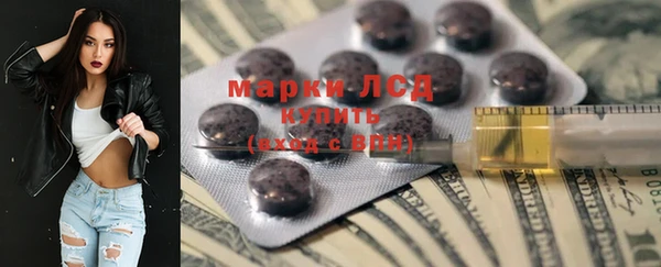 гашик Новозыбков