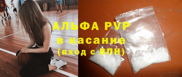 стаф Новодвинск