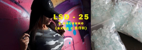 гашик Новозыбков