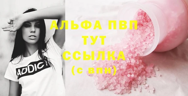 гашик Новозыбков