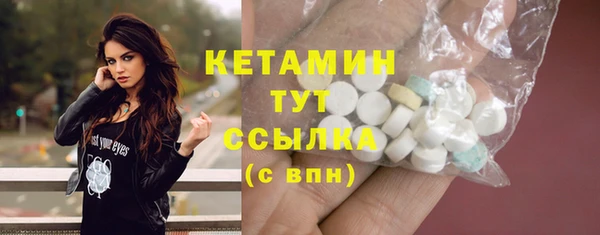 стаф Новодвинск