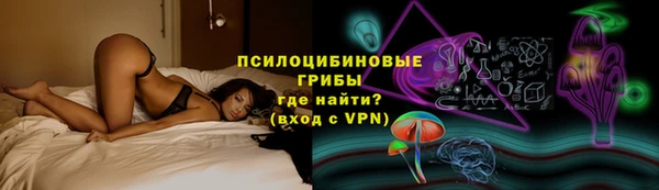 гашик Новозыбков