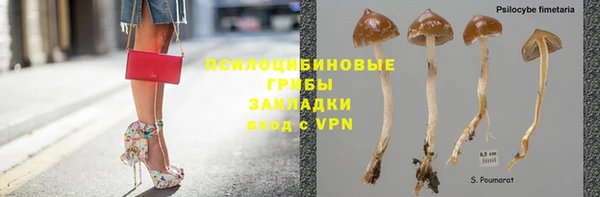 стаф Новодвинск