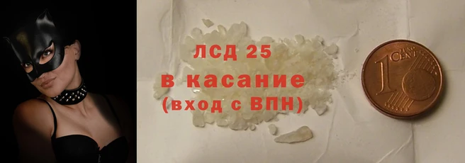 стаф Новодвинск