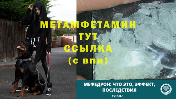 гашик Новозыбков