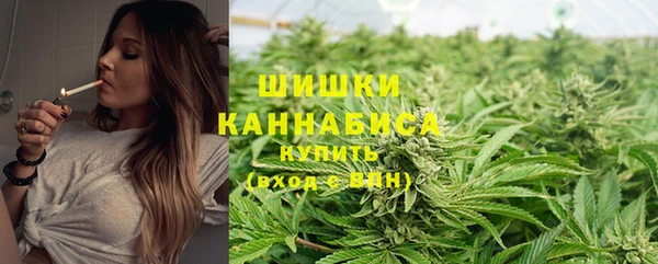 гашик Новозыбков