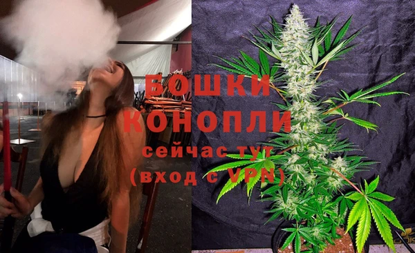 гашик Новозыбков
