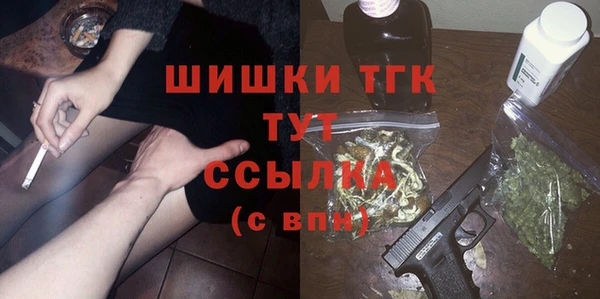 гашик Новозыбков