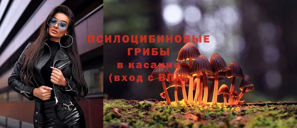 мяу мяу мука Новокубанск