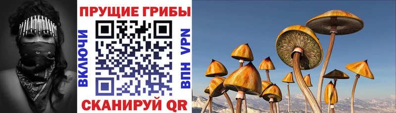 MEGA рабочий сайт  Кореновск  Псилоцибиновые грибы мухоморы 