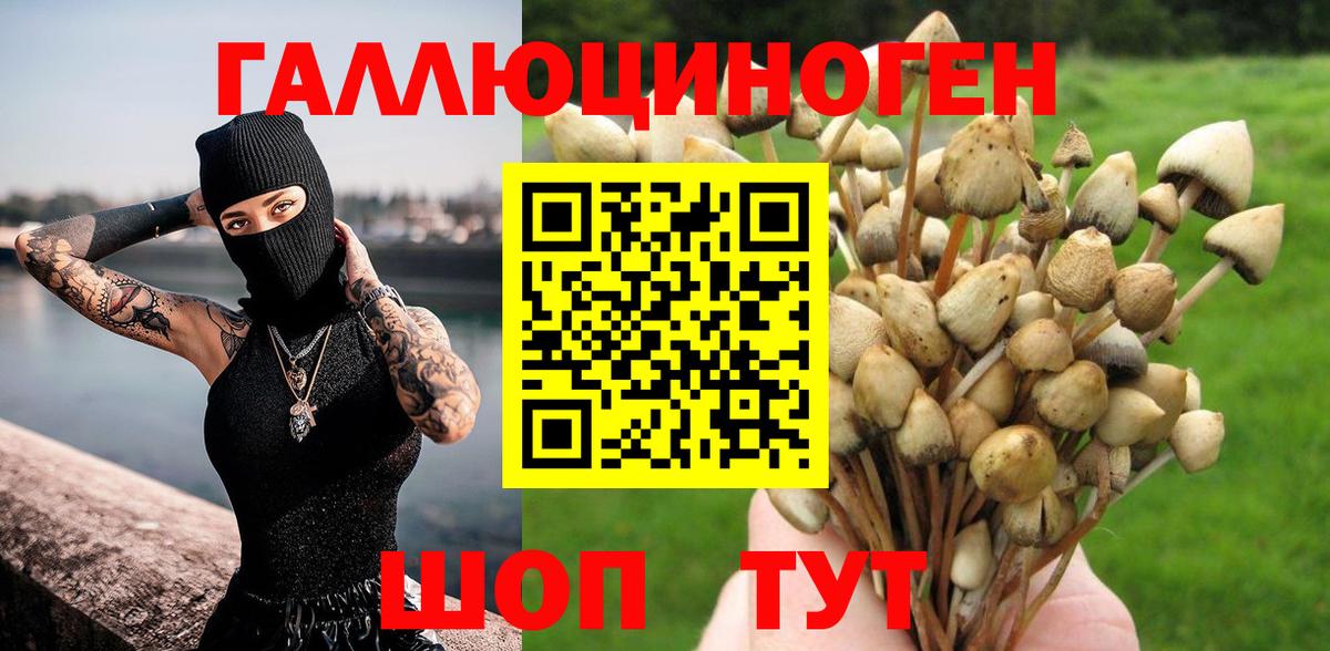 Псилоцибиновые грибы GOLDEN TEACHER  Вход с VPN  Галлюциногенные грибы ЛСД  Кореновск 